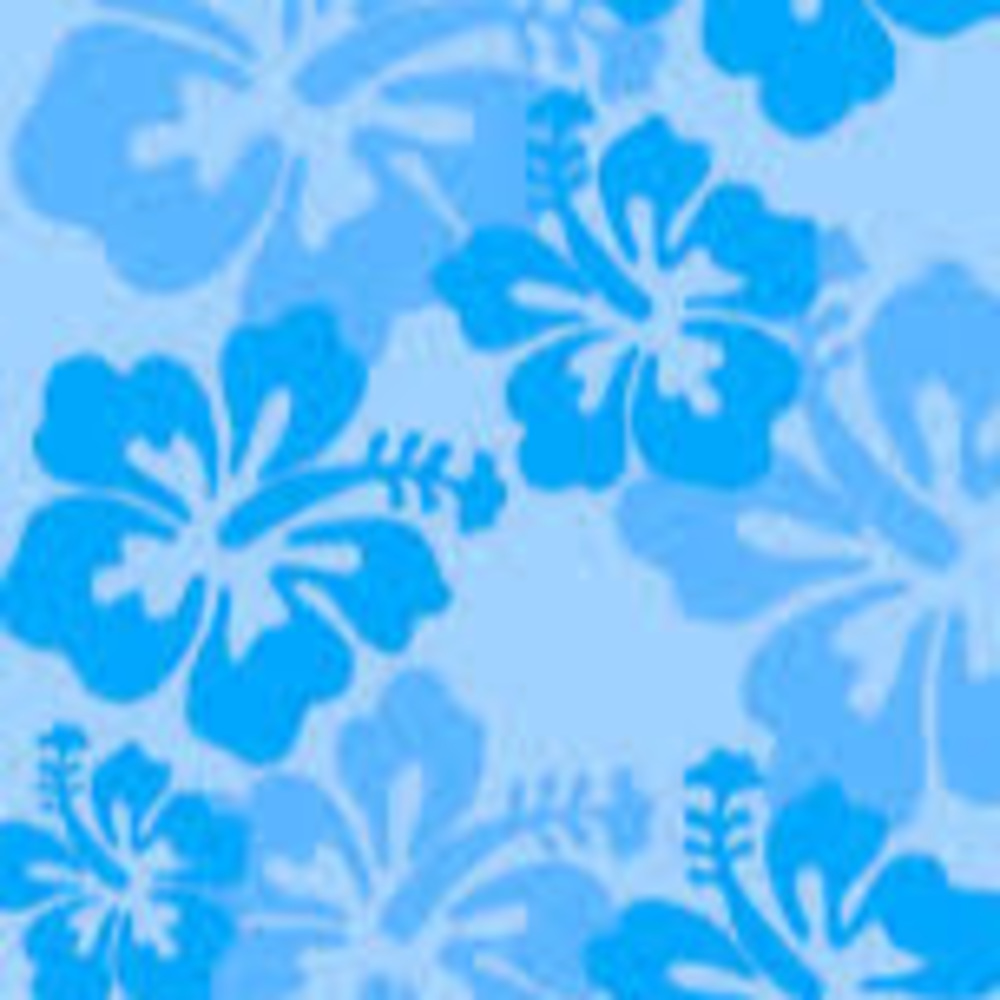 Meet your Posher, Coco